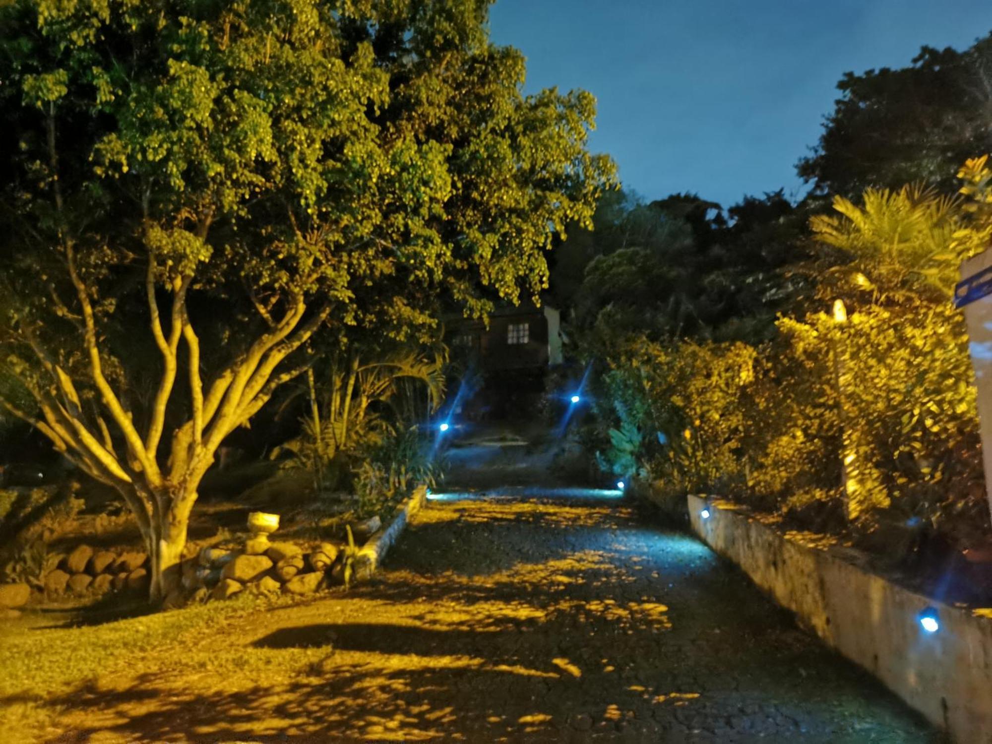 Cabaña Vista Verde Cartago Exterior foto